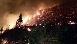 Trabzon'da yangın paniği 10 ilçede yangın çıktı!